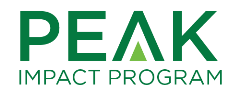 PEAK-Logo